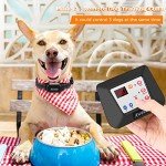 Wireless Dog Fence & Training Collar System