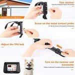 Wireless Dog Fence & Training Collar System