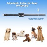 3-in-1 Wireless Dog Fence and Training Collar