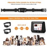 Wireless Dog Fence & Training Collar System