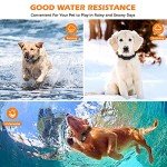 Wireless Dog Fence & Training Collar System