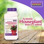 Insect Control Granules for Indoor and Outdoor Plants