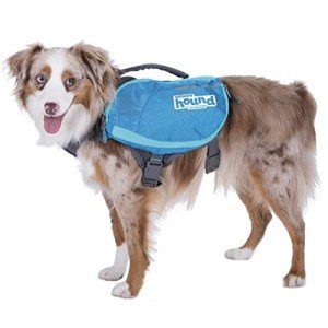 Outward Hound DayPak Dog Backpack - Medium Blue
