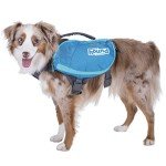 Outward Hound DayPak Dog Backpack - Medium Blue