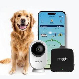 Waggle Pet Camera & Temperature Monitor for RVs