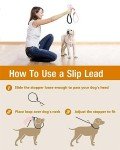 Lynxking Heavy Duty Slip Lead Dog Leash