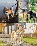Heavy Duty Bungee Dog Leash with Padded Handles
