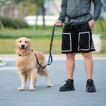 Hands-Free Dog Leash with Zipper Pouch and Bungee