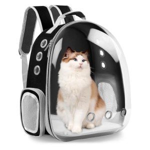 Bubble Backpack Carrier for Cats and Small Dogs