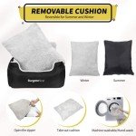 BurgeonNest Small Dog Car Seat with Storage Pockets