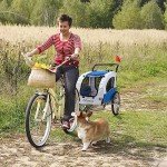 2-in-1 Dog Bike Trailer and Stroller Combo