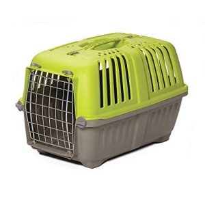 Green Hard-Sided Pet Carrier for Small Animals