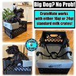 RuffLyfe DIY Bike Dog Carrier with Safety Harness