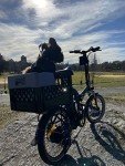 RuffLyfe DIY Bike Dog Carrier with Safety Harness