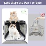 Pet Travel Carrier for Small Dogs and Cats