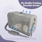 Pet Travel Carrier for Small Dogs and Cats