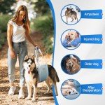 Large Dog Lift Harness for Back Leg Support