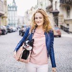 Small Dog Carrier Purse with Large Pockets