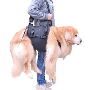 Large Dog Carry Sling & Support Harness (Black, XL)