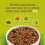 Rachael Ray Nutrish Chicken & Brown Rice Dog Food
