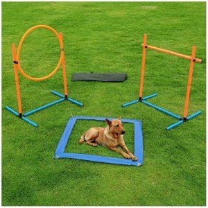 Dog Agility Training Starter Kit for Puppies