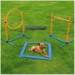 Dog Agility Training Starter Kit for Puppies