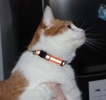 Bright & Safe Reflective Cat Collars with Bell - 6 Pack