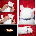 Bright & Safe Reflective Cat Collars with Bell - 6 Pack
