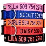 Personalized Embroidered Dog Collar with Name & Number