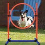 Dog Agility Training Starter Kit for Puppies