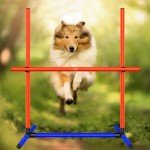 Dog Agility Training Starter Kit for Puppies