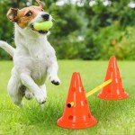 Dog Agility Hurdle Cone and Rod Set