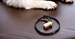 Mythrojan Brass and Steel Puppy Training Clicker