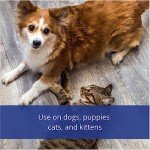 Farnam Flys-Off Insect Repellent for Pets 6 oz