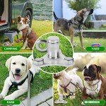 360° Swivel Dog Tie Out Stake for Large Dogs