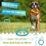 Dog Tie Out Cable and Stake for Medium Dogs