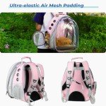 Bubble Expandable Pet Carrier Backpack - Pink