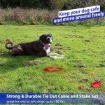 360° Tangle-Free Dog Tie Out Cable & Stake