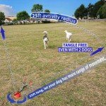 360° Tangle-Free Dog Tie Out Cable & Stake