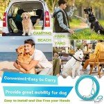 Dog Tie Out Cable and Stake for Medium Dogs