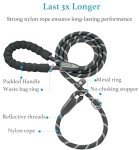 Durable No-Pull Slip Lead Dog Leash 6FT
