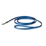 PetSafe Durable Nylon Dog Leash - Royal Blue 6ft