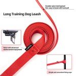 Puppy Recall Training Leash - 20ft Red