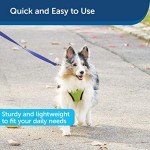 PetSafe Durable Nylon Dog Leash - Royal Blue 6ft