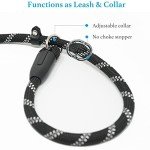 Durable No-Pull Slip Lead Dog Leash 6FT
