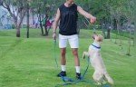 AMAGOOD Long Dog Leash for Training and Play
