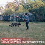 Puppy Recall Training Leash - 20ft Red