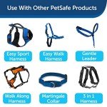 PetSafe Durable Nylon Dog Leash - Royal Blue 6ft