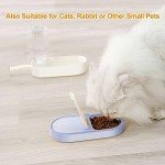 Portable 2-in-1 Dog Water Bottle & Bowl