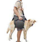 COODEO Dog Carry Sling & Support Harness - XL Black